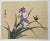 Chinoiserie Vintage Original Chinese Watercolor Painting of Purple Iris Flowers and Butterflies on Silk For Sale - Image 3 of 10