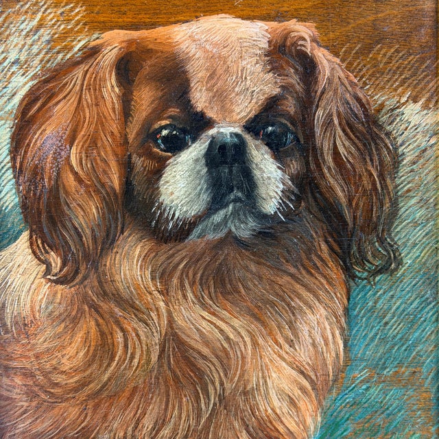 1940s Pekingese Dog Portrait, Oil on Panel, 20th Century, Framed For Sale - Image 5 of 12