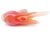 Late 20th Century Vintage Seguso Murano Italian Art Glass Angel Fish Opalescent Orange White Alabastro Sculpture Figurine For Sale - Image 5 of 6