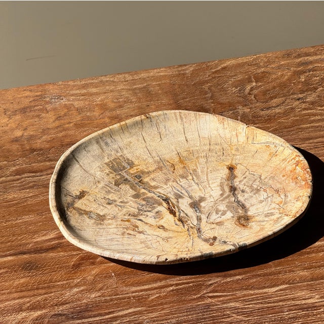 Small Oval Trinket Dish or Tray in Beige Petrified Wood with Crystal Rings, d25-20.5 -3313 For Sale - Image 15 of 18