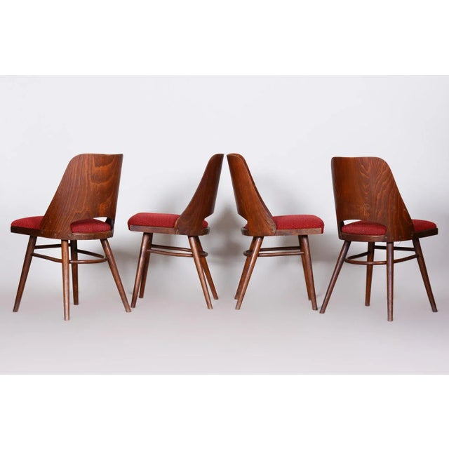Mid-Century Modern Mid-Century Beech Dining Chairs attributed to Oswald Haerdtl, 1950s, Set of 4 For Sale - Image 3 of 11