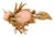 Bird Brooch Diamond Coral 18k Yellow Gold Large Size For Sale