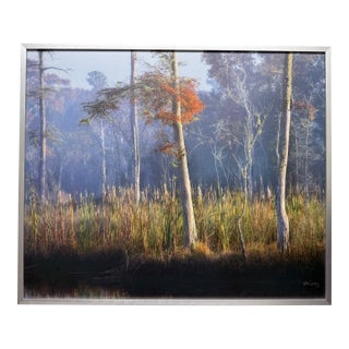 21st-Century, Untitled, Color Photograph of Coastal Wetland Framed, Artist Will Dickey For Sale