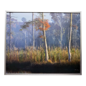 Misty Coastal Wetland, Framed Photograph, Artist Will Dickey