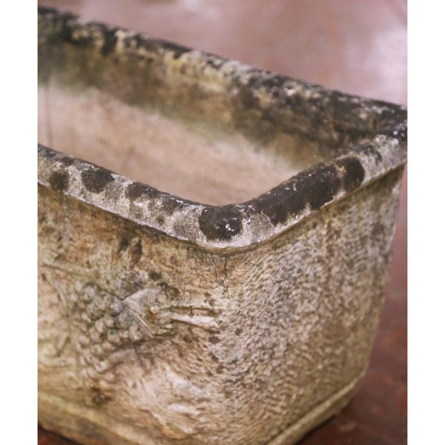 Stone Pair of 19th Century French Cast Stone Garden Planters With Grapevine Motif For Sale - Image 7 of 9