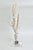 Exceptional Natural Octopus Coral on Acrylic Base For Sale In Los Angeles - Image 6 of 8