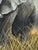 Charcoal Peter Jepson (British, b.1936) African Bull Elephant at Letaba, Kruger National Park | Original Wildlife Painting c.1999 For Sale - Image 8 of 18