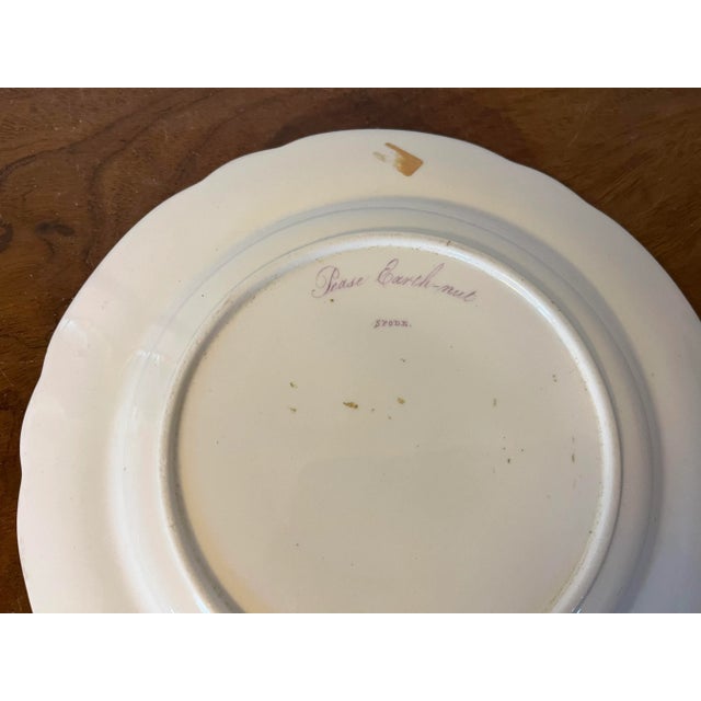 Pink Antique Early 19th Century Spode Porcelain Botanical Plate Decorated With Hand Painted Named Specimen - Pease Earth-Nut For Sale - Image 8 of 10