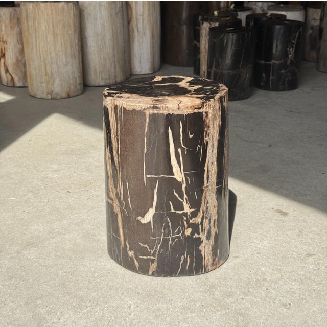 Side Table in Black Petrified Wood with Beige Striations and a Circular Arc For Sale - Image 13 of 18