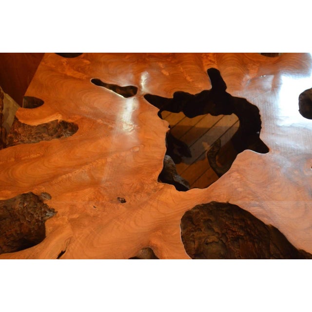 Andrianna Shamaris Teak Root Coffee Table For Sale - Image 4 of 5