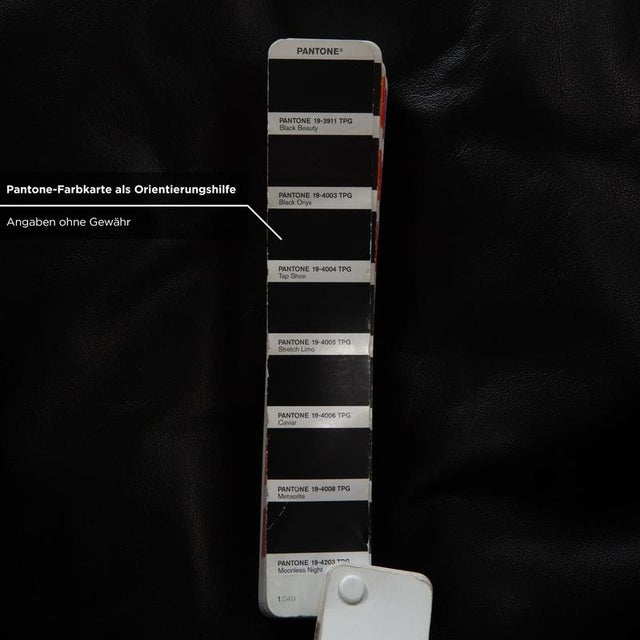 Animal Skin LC 2 Armchair in Black Leather by Le Corbusier for Cassina For Sale - Image 7 of 13