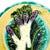 A French majolica barbotine asparagus plate from the Salins-les-Bains region of France, circa 1880. In typical French...