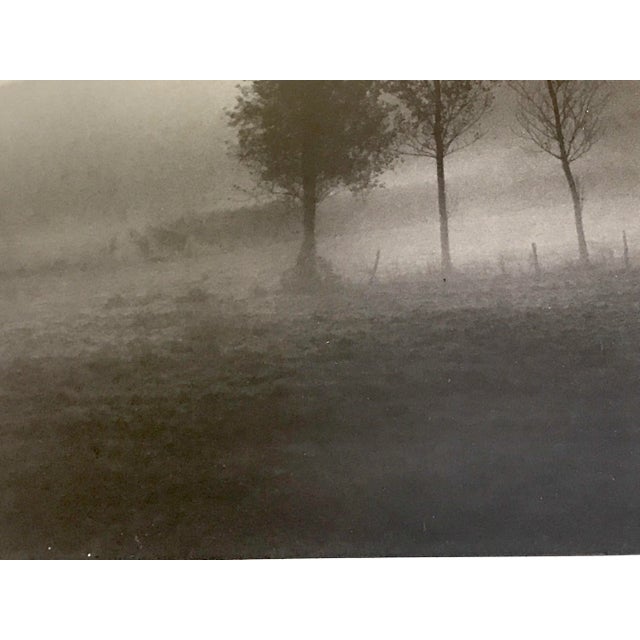 1970s Vintage Richard D’Amore Black and White Landscape Signed Photograph For Sale - Image 5 of 13