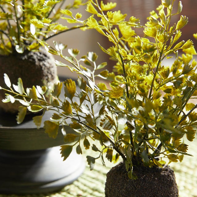 Kenneth Ludwig Chicago Maidenhair Drop-Ins, Set Of 3 For Sale - Image 4 of 5