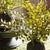 Kenneth Ludwig Chicago Maidenhair Drop-Ins, Set Of 3 For Sale - Image 4 of 5