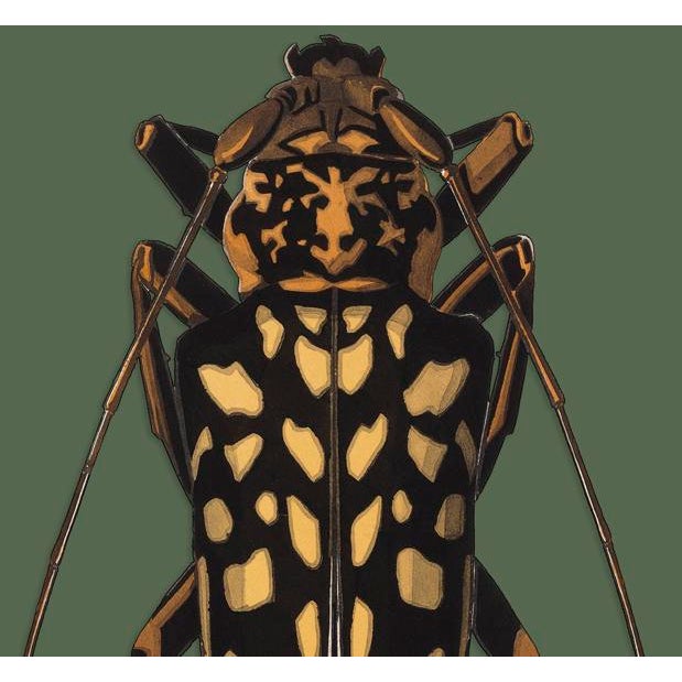 The series was produced by CFA editions from original pochior prints by E.A. Seguy. The series of insects that Seguy...