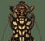 The series was produced by CFA editions from original pochior prints by E.A. Seguy. The series of insects that Seguy...