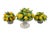 Yellow Vintage Petite Italian Majolica Lemon Topiary Set of Three For Sale - Image 8 of 8