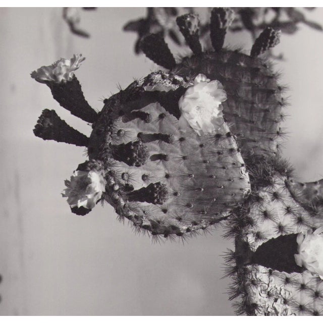 Hanna Seidel (1925 to 2005) lived and worked in Argentina for many years. She was a world traveller, journeying to South...