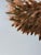 Alissa Madden Design Outstretched Wings on Canvas, Signed For Sale - Image 9 of 16