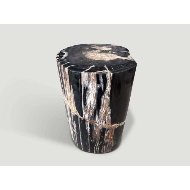 Andrianna Shamaris Modern Organic Petrified Wood Side Table For Sale - Image 4 of 8