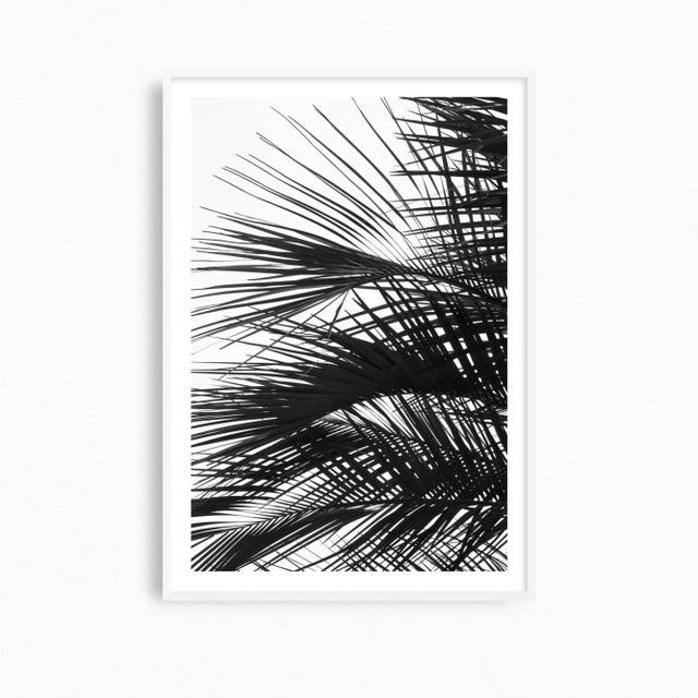 This large palm tree art print is presented in stylish black and white with a minimalist aesthetic. It's an eye-catching...