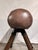Antique Gymnastic Horse in Cow Leather, Italy, 1940s For Sale - Image 6 of 13