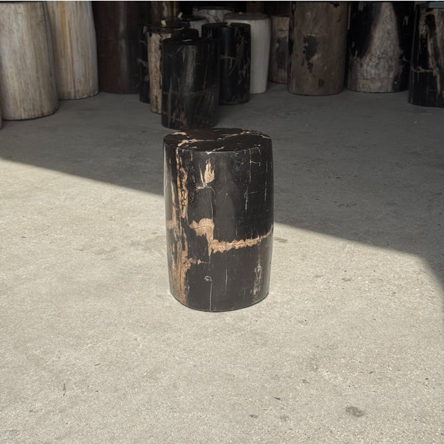 Small Side Table in Black Petrified Wood with Striates and Beige Lower Side For Sale - Image 17 of 18