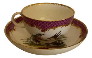 19th Century Meissen Hand Painted Cup and Saucer