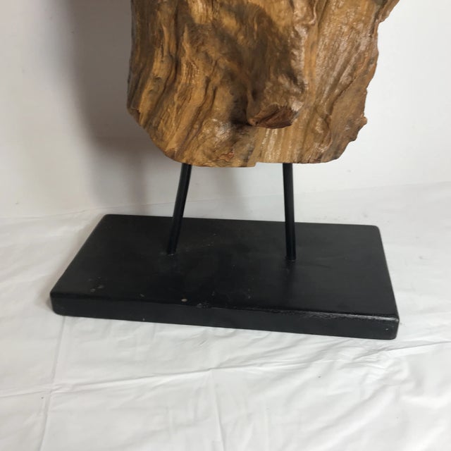 Contemporary Driftwood Adornment Decor For Sale - Image 3 of 7