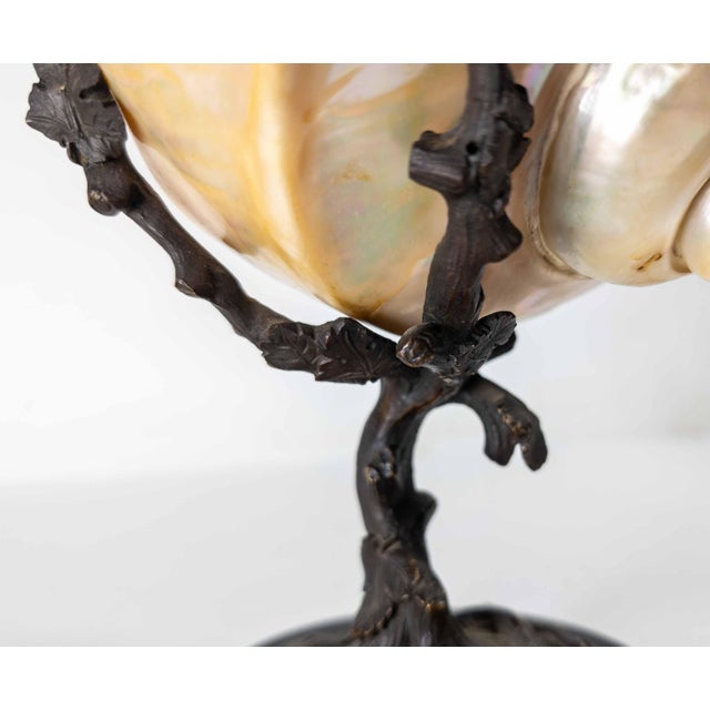 19th Century Continental European French or German Bronze With Turbo Shell, Kunstkammer Object For Sale - Image 10 of 14