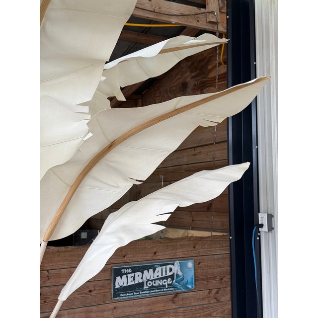 Coastal Tropical Canvas Banana Palm Tree For Sale In Naples, FL - Image 6 of 12