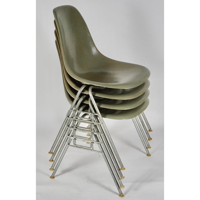 Metal Vintage Eames Fiberglass DSS Stacking Chairs by Charles and Ray Eames for Herman Miller Set of 4 For Sale - Image 7 of 12