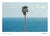 John Baldessari Palm Tree/Seascape Original Exhibition Poster Dimensions: 27,5 x 19,6 in / 70 x 50 cm Sold unframed