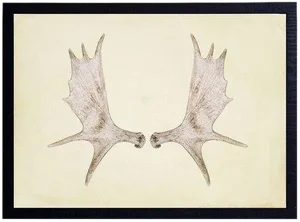 Horizontal Antlers - 33" X 25"