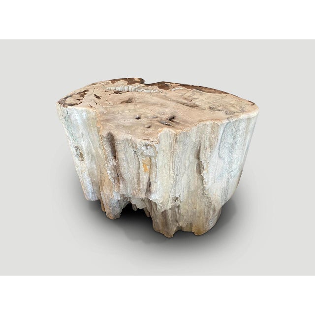 Andrianna Shamaris Ancient Petrified Wood Side Table or Coffee Table For Sale - Image 11 of 18