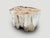 Andrianna Shamaris Ancient Petrified Wood Side Table or Coffee Table For Sale - Image 11 of 18