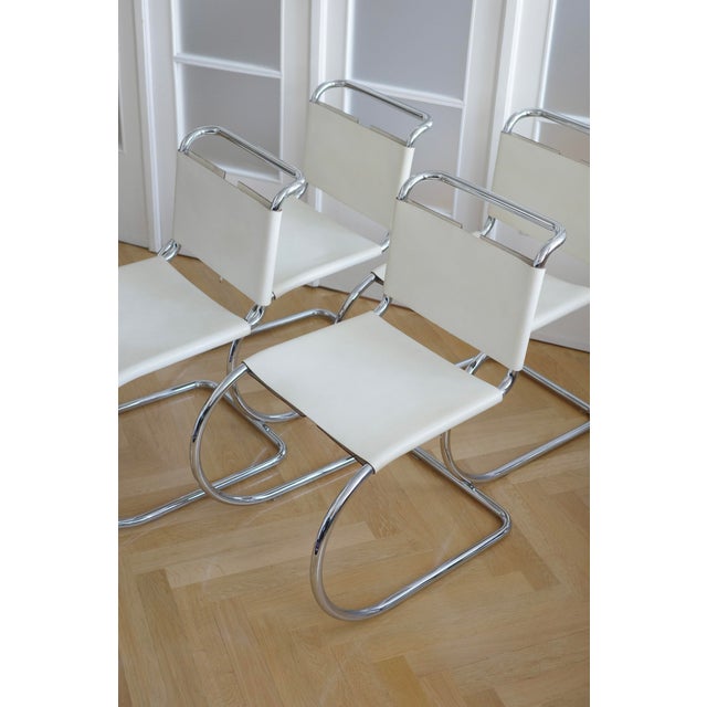 1980s MR10 Chairs by Mies Van Der Rohe for Knoll, 1970s For Sale - Image 5 of 6