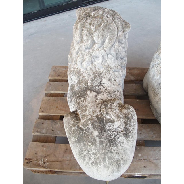 Light Gray Pair of Recumbent Reconstituted Stone Garden Lions From Belgium, Circa 1960 For Sale - Image 8 of 12