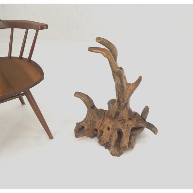 Large 25" Tall Artist Signed Driftwood Root Burl Wood Natural Sculpture NICE! For Sale - Image 11 of 14