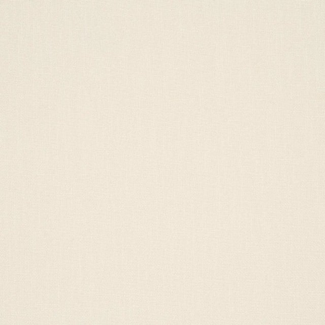 Contemporary SAMPLE - Schumacher Sasha Indoor/Outdoor Fabric In Ivory For Sale - Image 3 of 3