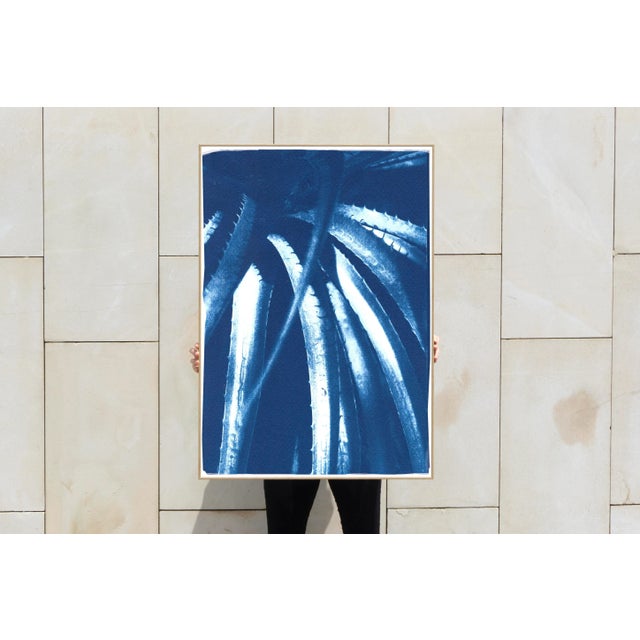 2021 "Jurassic Aloe Leaves" Contemporary Cyanotype on Watercolor Paper For Sale In Miami - Image 6 of 10