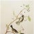 Farmhouse 1966 Vintage Cottage Print "Boreal Chickadee & Berries" After John James Audubon For Sale - Image 3 of 7