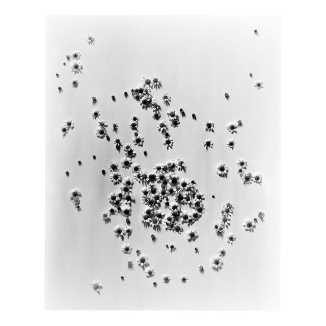 Ugne Pouwell, Ramunės No.3, 2026, Paper For Sale