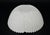Mid 20th Century Mid Century Seashell Dessert or Punch Bowl Set For Sale - Image 5 of 9