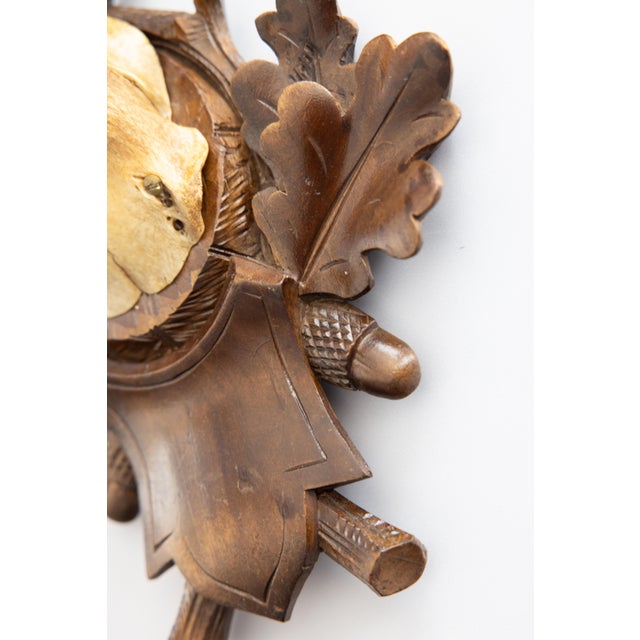 1900 - 1909 Antique Black Forest Roe Deer Antlers Hunting Trophy Mount For Sale - Image 5 of 7