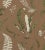 Traditional Sample - The House of Scalamandré Elsie De Wolfe - Outdoor Fabric, Greens on Brown For Sale - Image 3 of 3