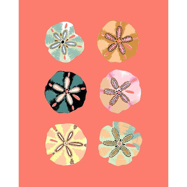 "Sand Dollar (Coral)" Contemporary Giclee Print by Sarah Gordon For Sale