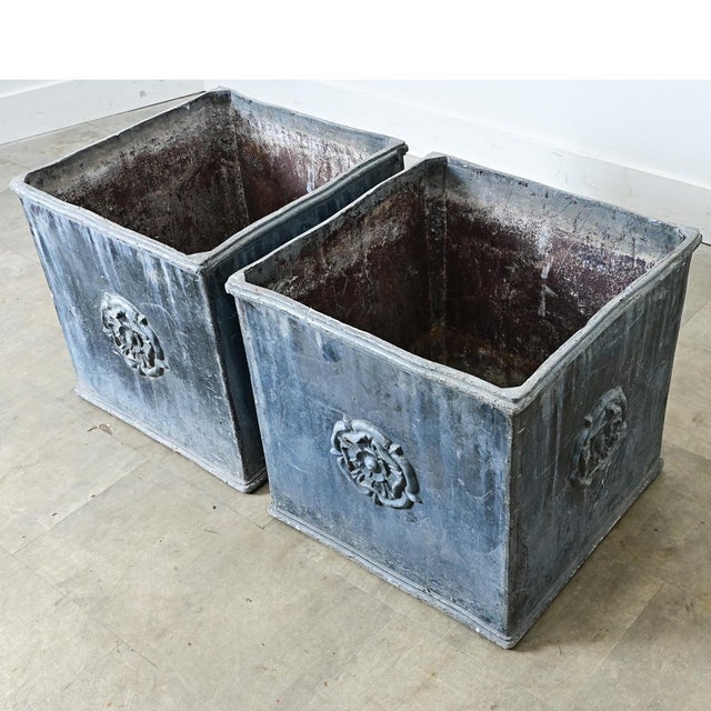 Victorian Pair of English 19th Century Solid Lead Box Planters For Sale - Image 3 of 12