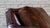 Ralph Lauren Leather and Paisley Velvet Club Chair For Sale - Image 12 of 16